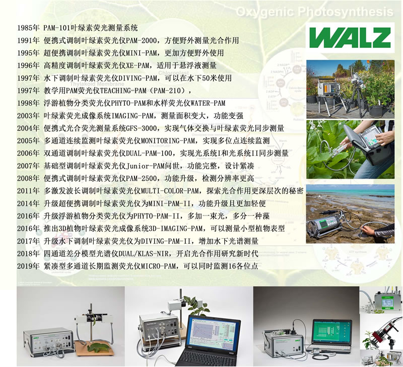 WALZ設(shè)備上市時間線.jpg